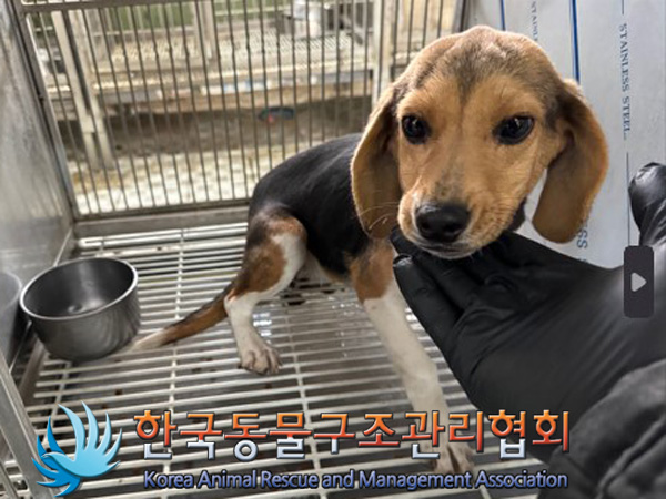 한국동물구조관리협회_441560202401458